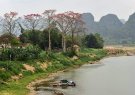 Thông báo đấu giá quyền sử dụng đất ở dân cư trên địa bàn Thị trấn Phong Sơn, Huyện Cẩm Thủy, Tỉnh Thanh Hóa